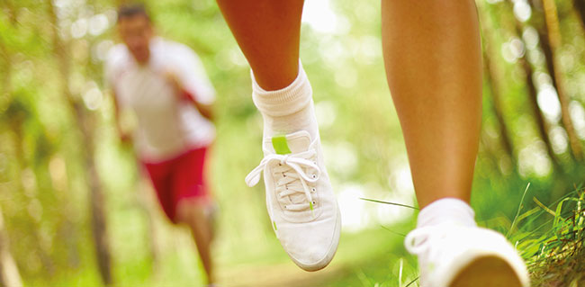banner_bootcamp